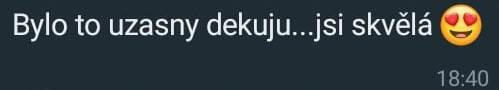 Originální screenshot recenze klienta 30