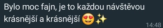 Originální screenshot recenze klienta 34